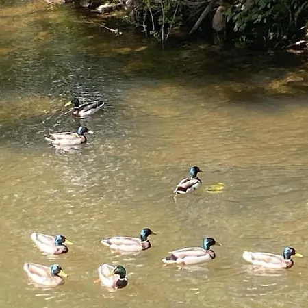 Riverbank River Ehan Double Balcony *